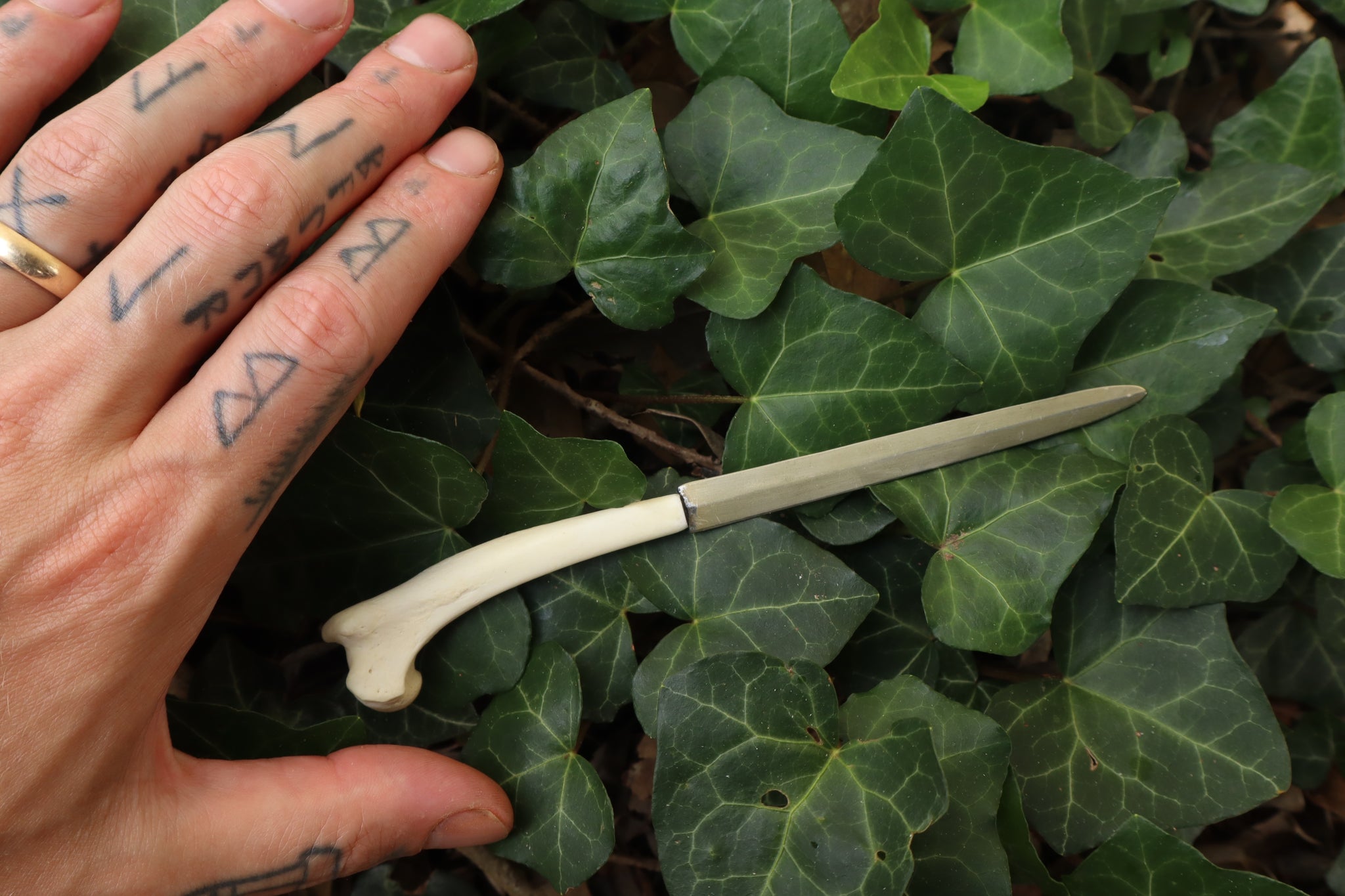 Red Fox Humerus Letter Opener
