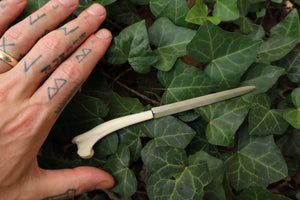 Red Fox Humerus Letter Opener