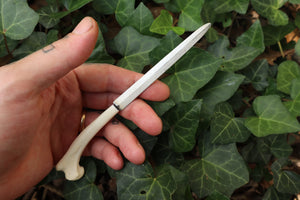 Red Fox Humerus Letter Opener