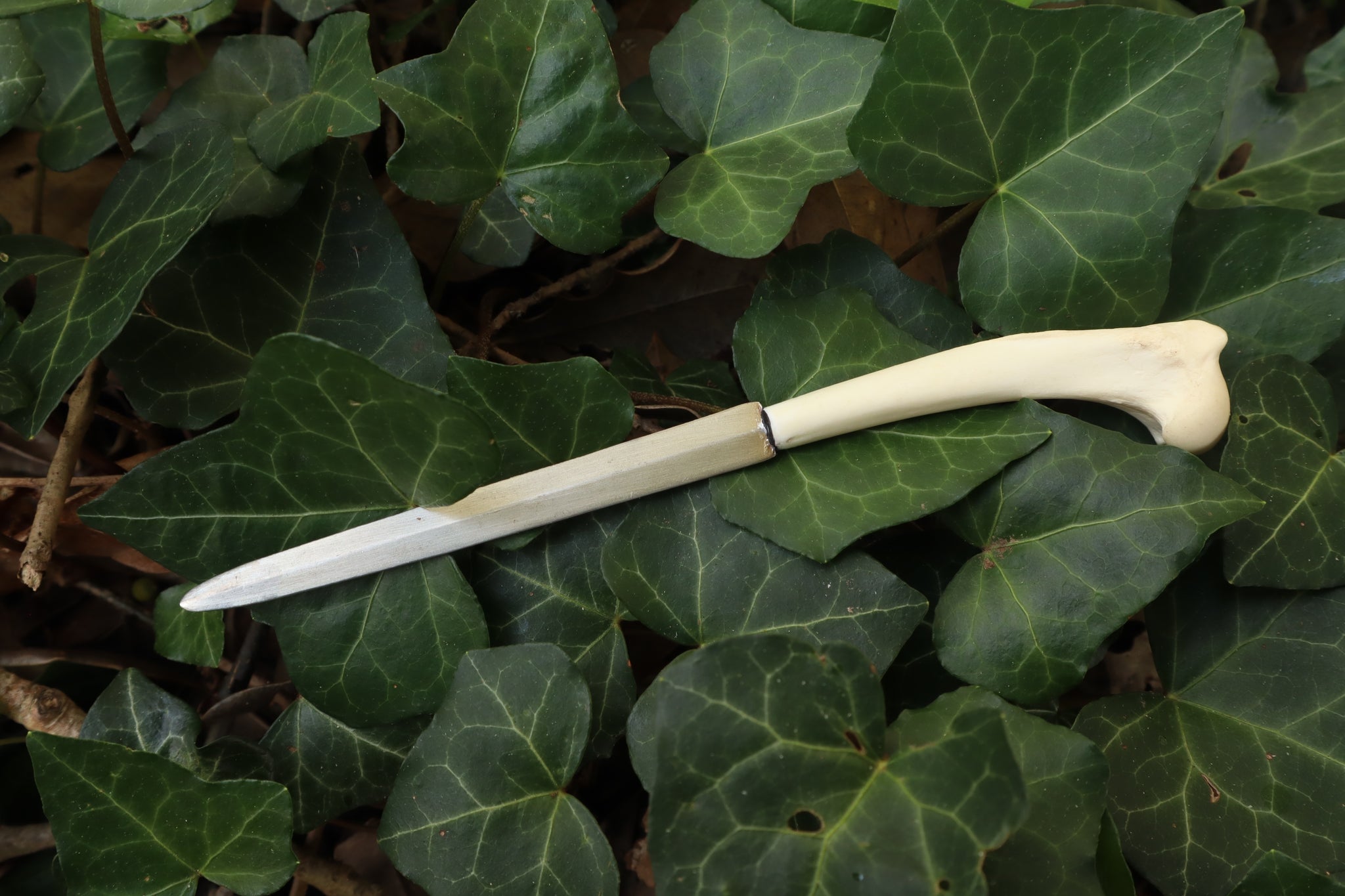 Red Fox Humerus Letter Opener