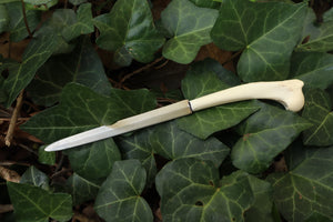 Red Fox Humerus Letter Opener
