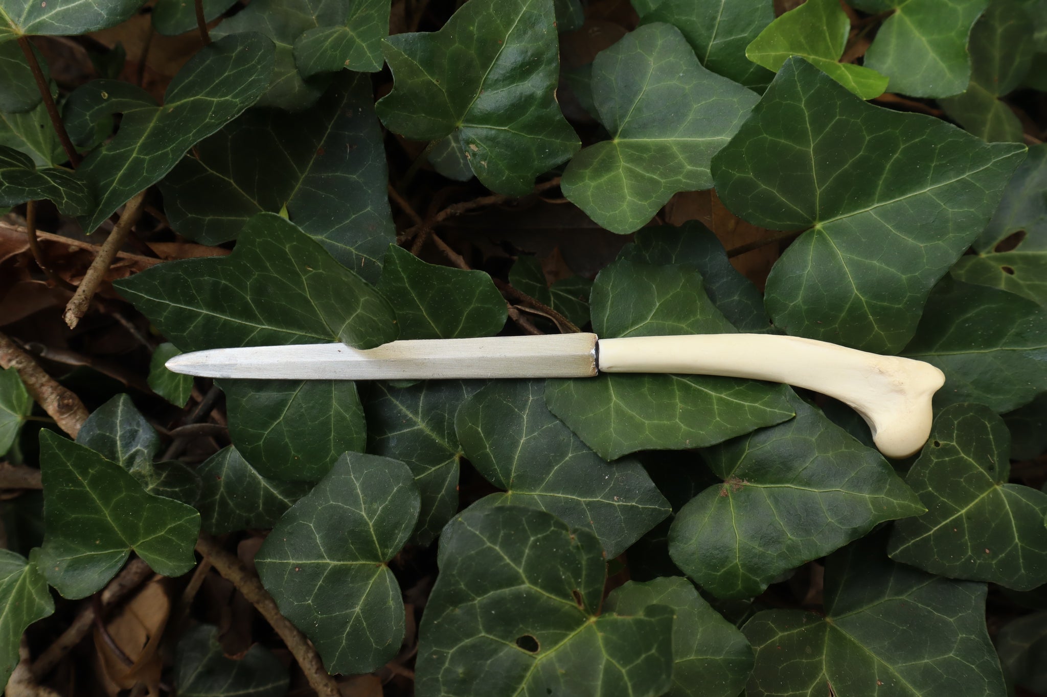 Red Fox Humerus Letter Opener