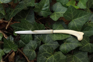 Red Fox Humerus Letter Opener