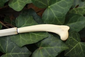Red Fox Humerus Letter Opener