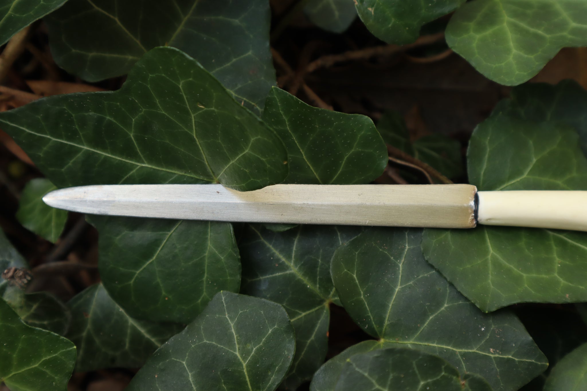 Red Fox Humerus Letter Opener