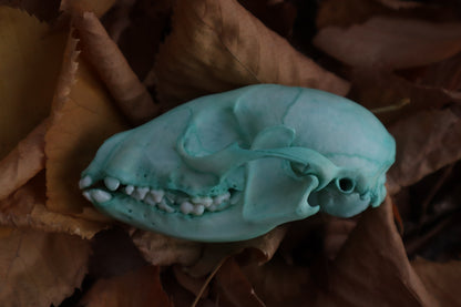 Blue Copper Juvenile Raccoon Skull