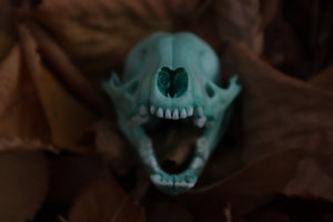 Reserved for Alex - Blue Copper Raccoon Skull