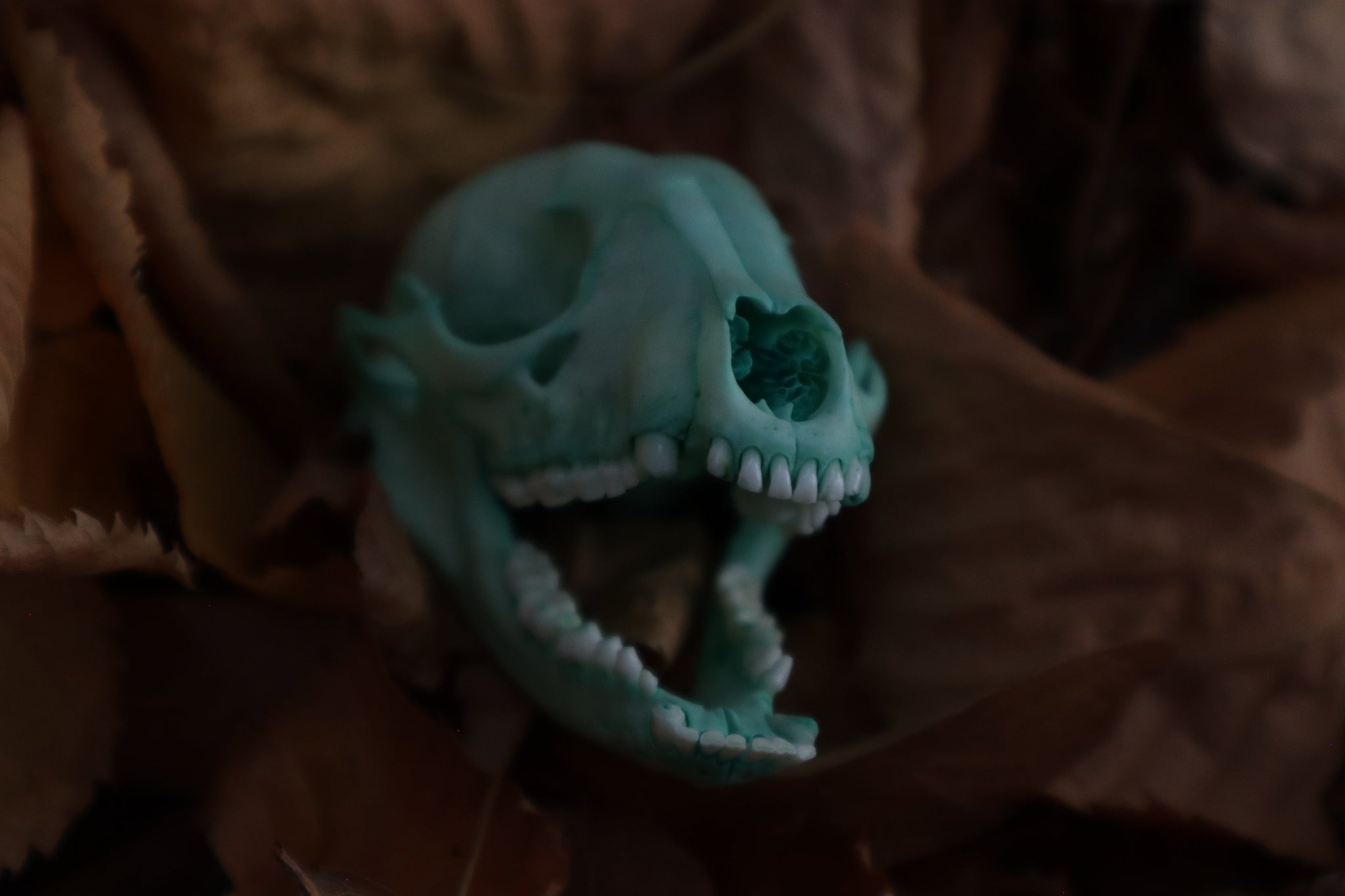 Reserved for Alex - Blue Copper Raccoon Skull