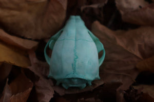 Reserved for Alex - Blue Copper Raccoon Skull