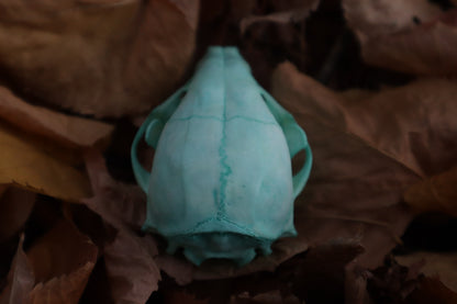 Blue Copper Juvenile Raccoon Skull