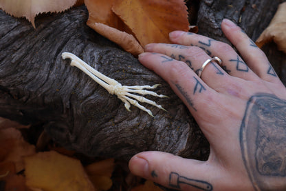Reserved for Shayne - Kitten Arm Articulation