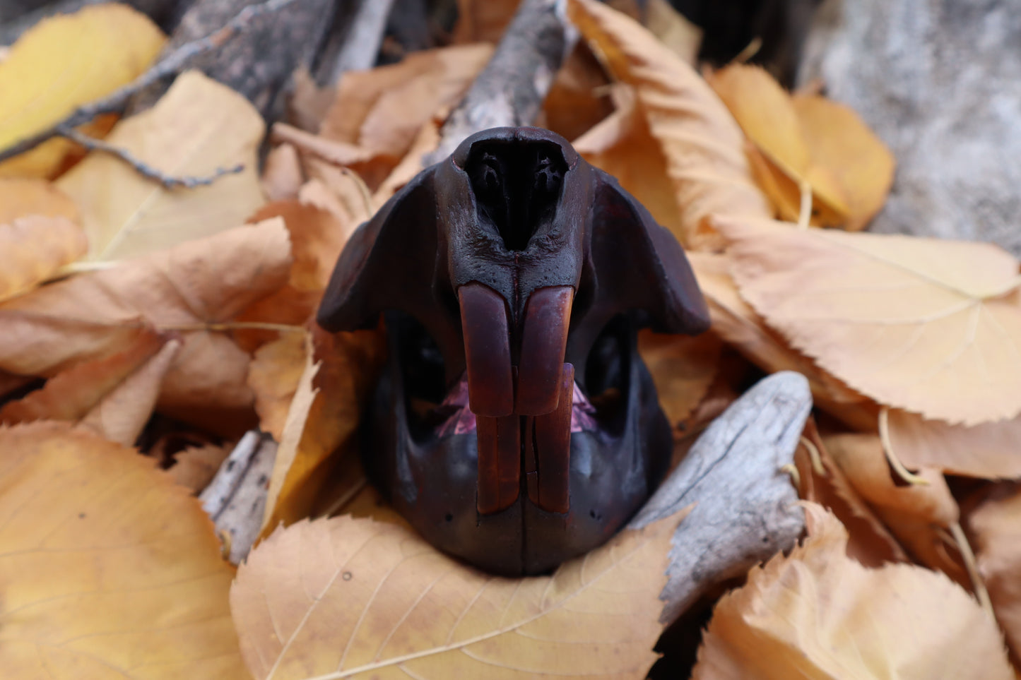 Abyssal Beaver Skull