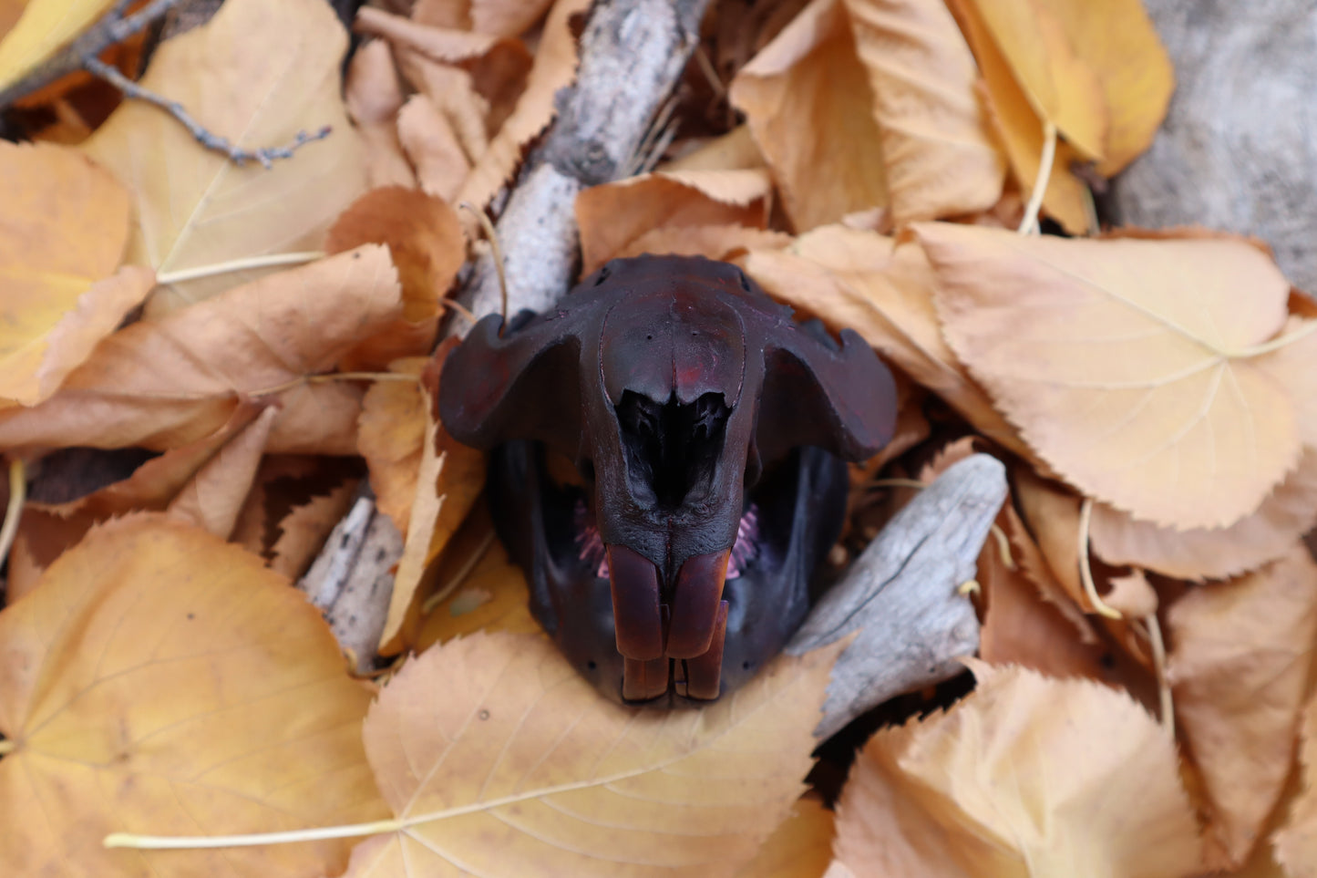 Abyssal Beaver Skull