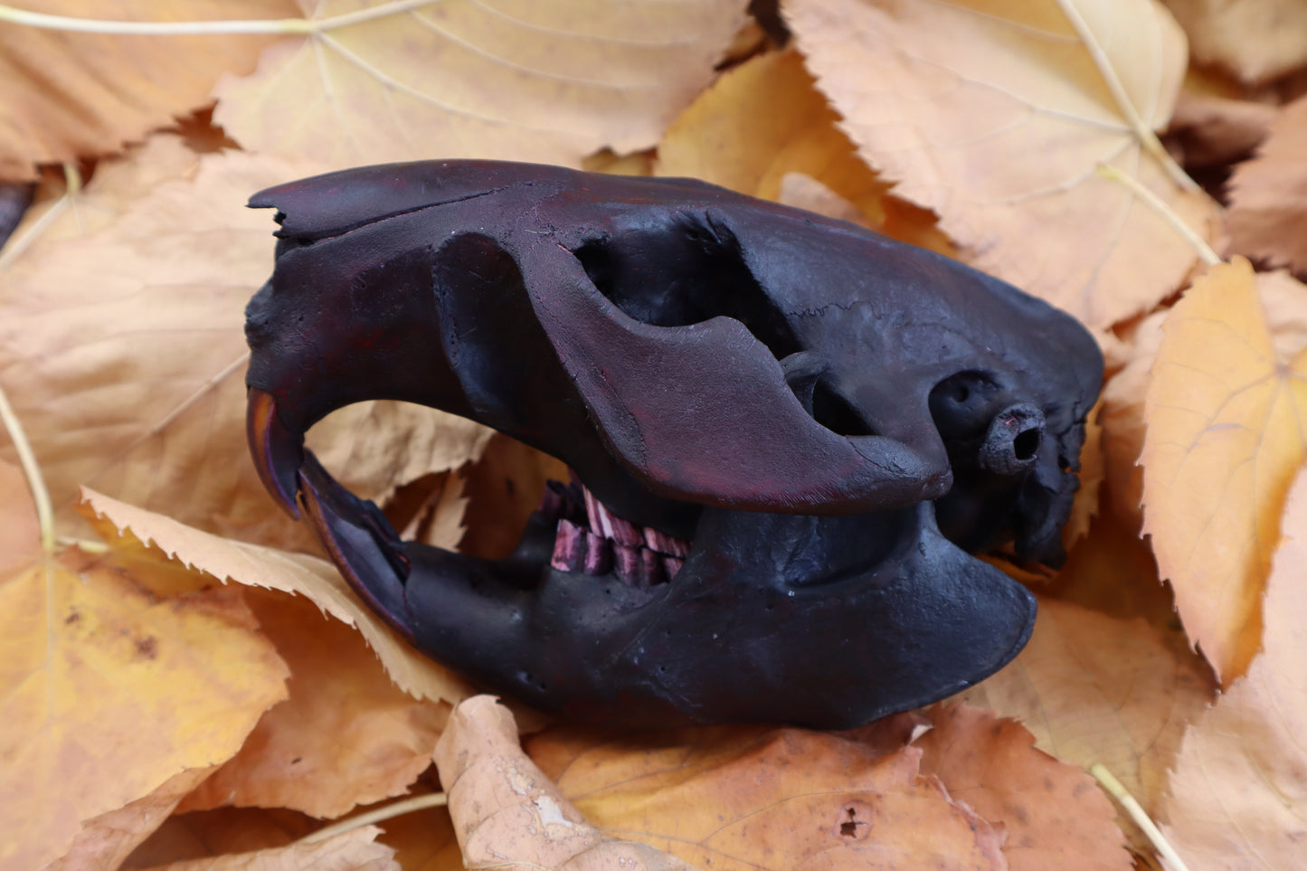 Abyssal Beaver Skull