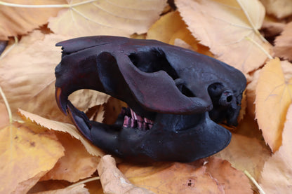 Abyssal Beaver Skull