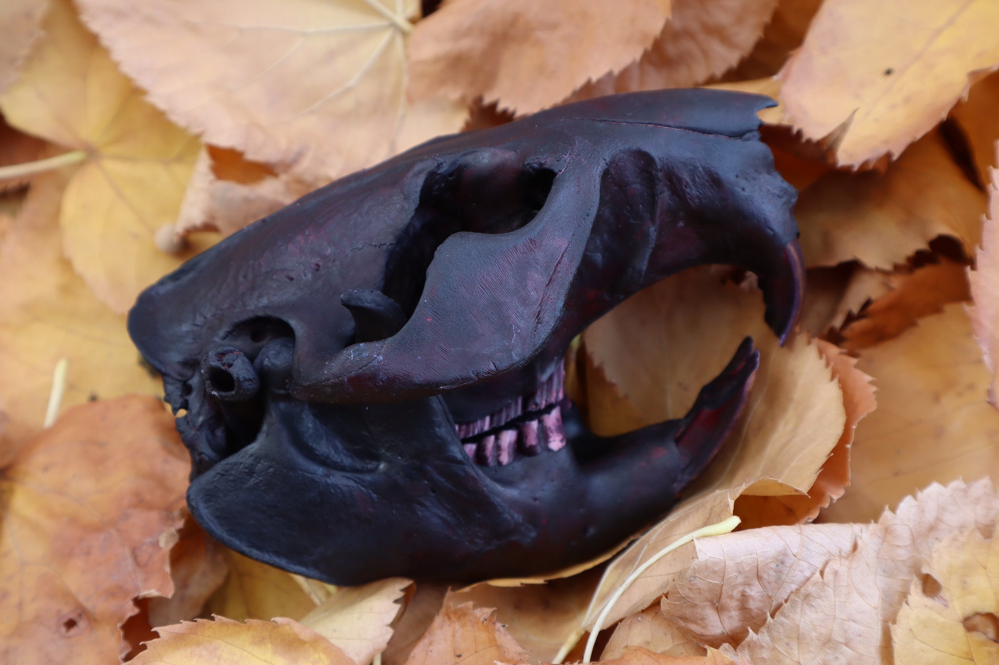 Abyssal Beaver Skull