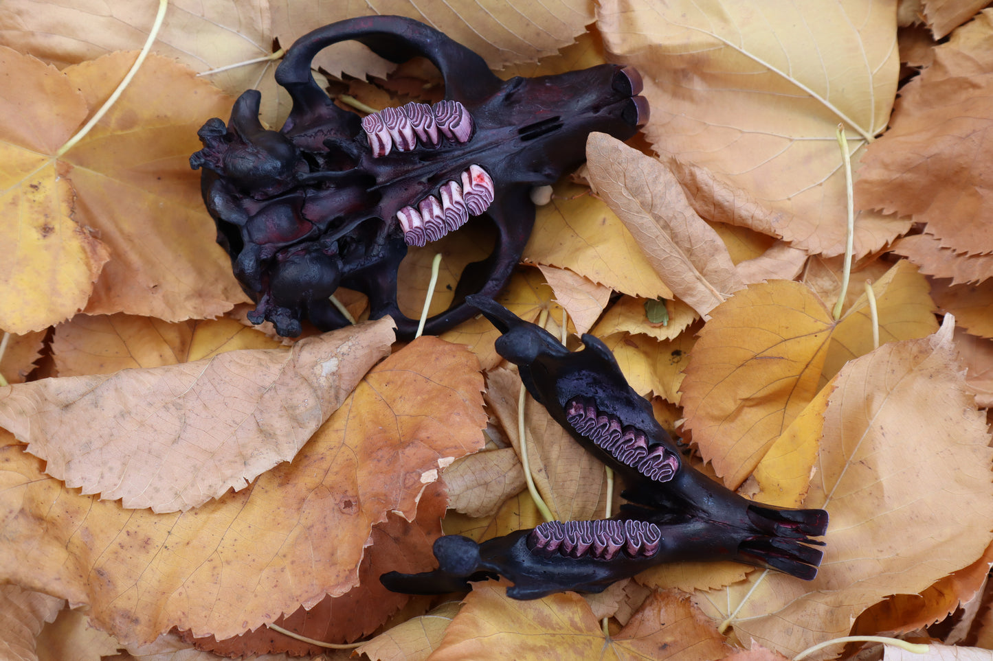 Abyssal Beaver Skull