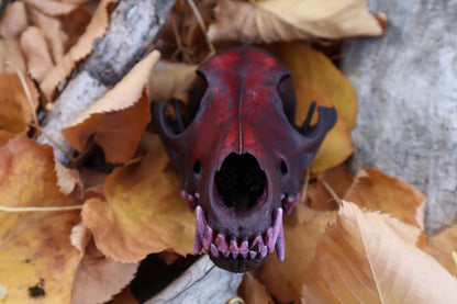 Crimson Coyote Skull