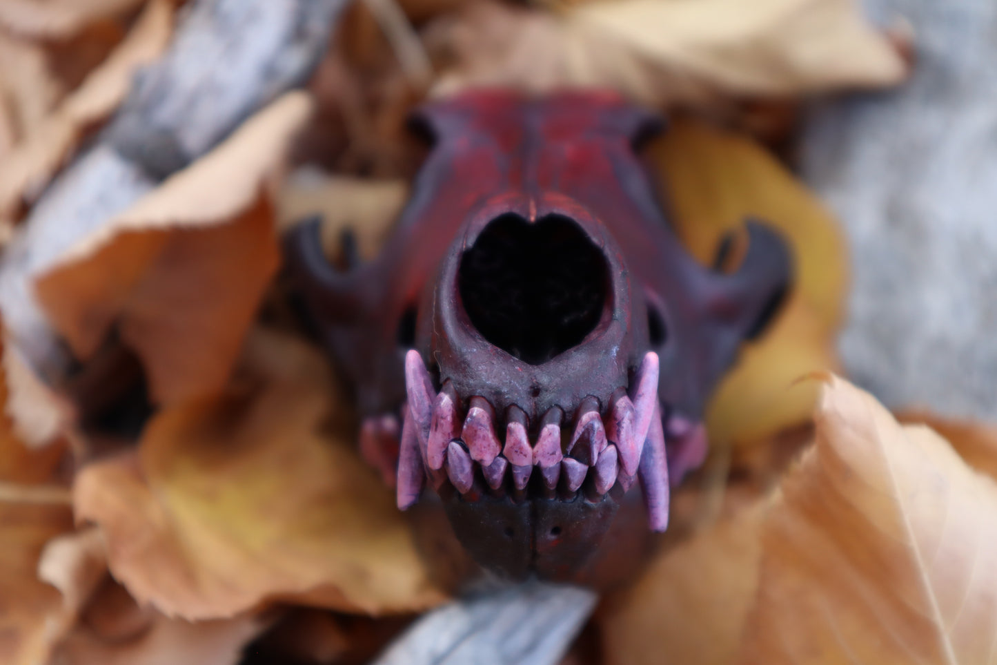 Crimson Coyote Skull