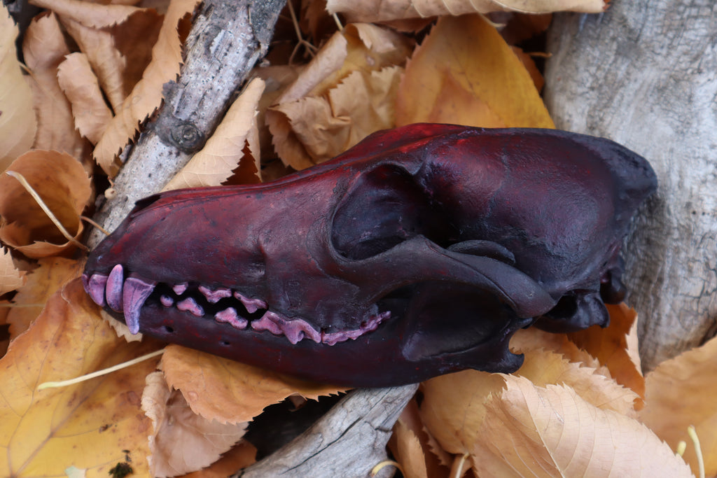 Crimson Coyote Skull