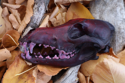 Crimson Coyote Skull