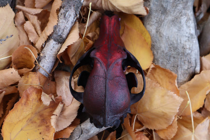 Crimson Coyote Skull