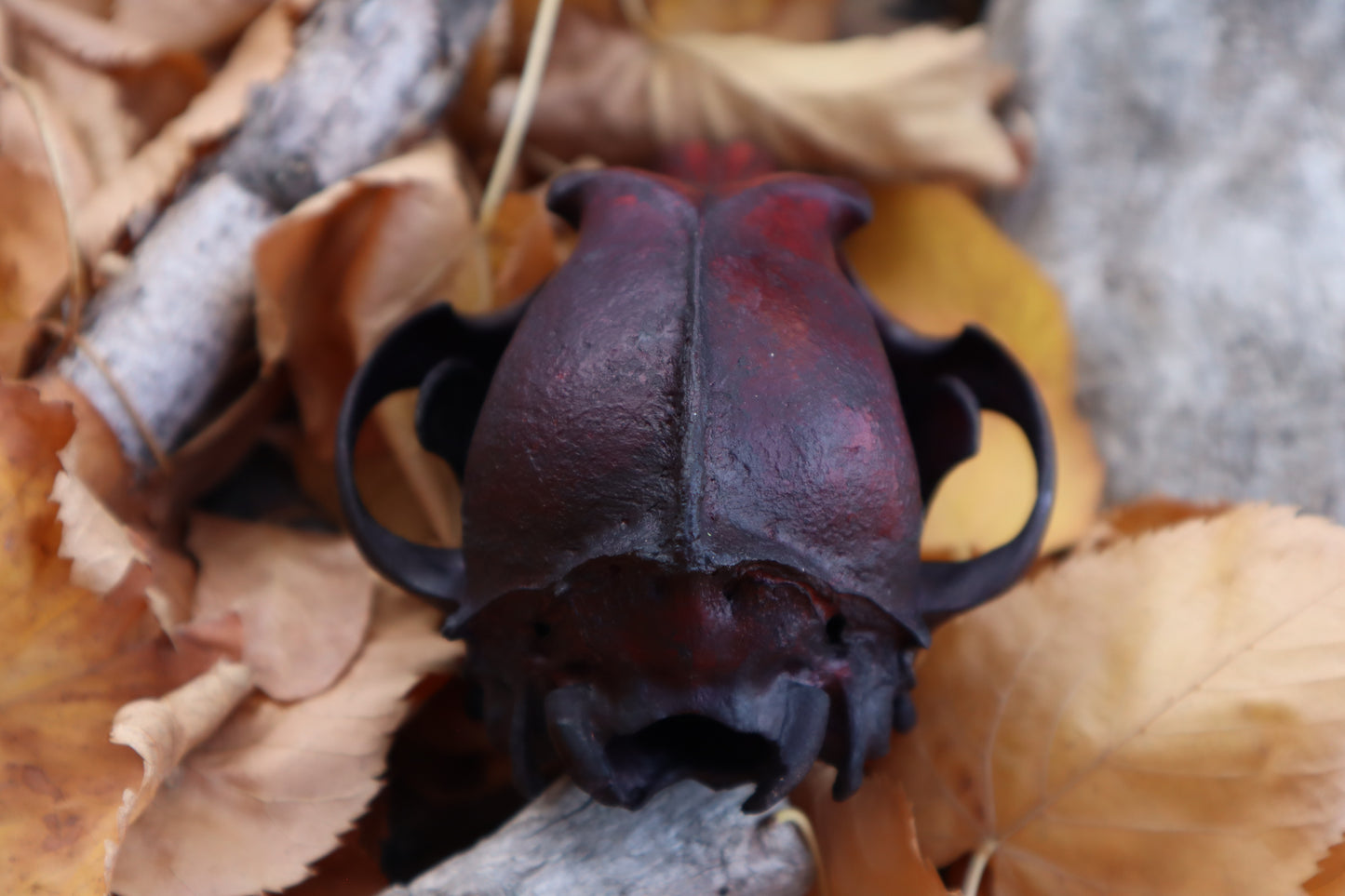 Crimson Coyote Skull