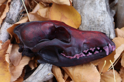 Crimson Coyote Skull