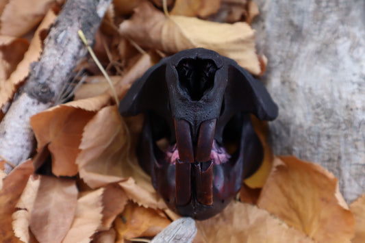 Abyssal Beaver Skull