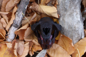 Abyssal Beaver Skull