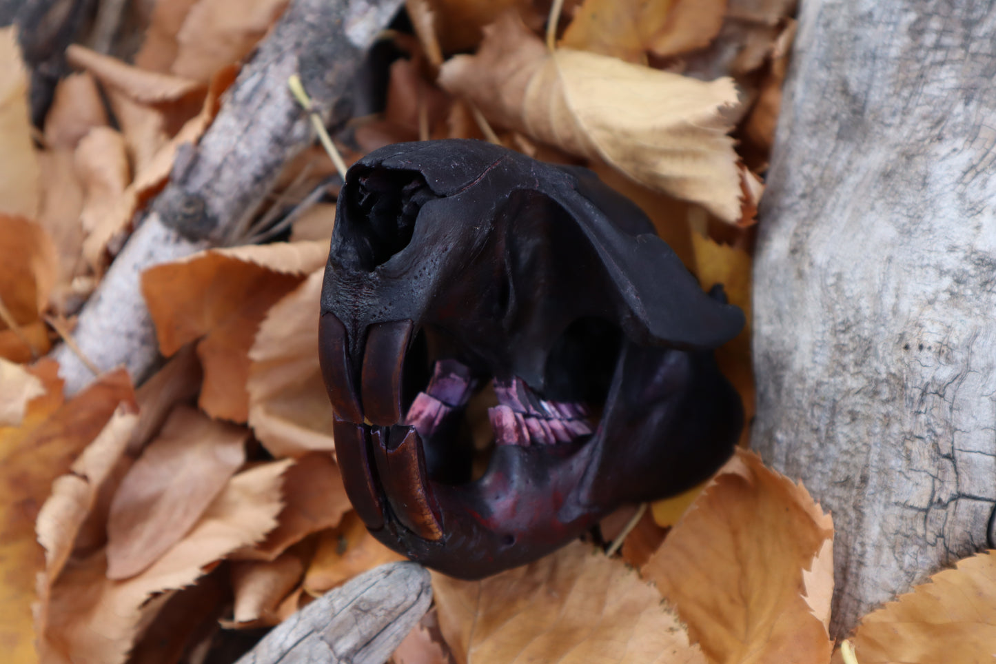 Abyssal Beaver Skull