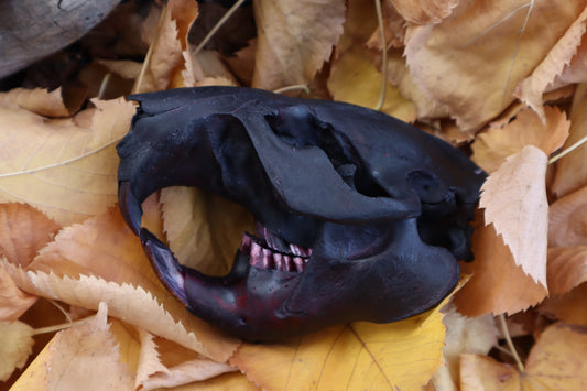Abyssal Beaver Skull
