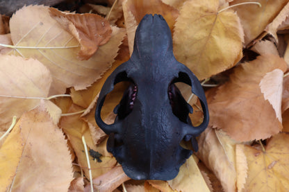 Abyssal Beaver Skull