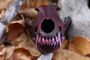 Crimson Coyote Skull
