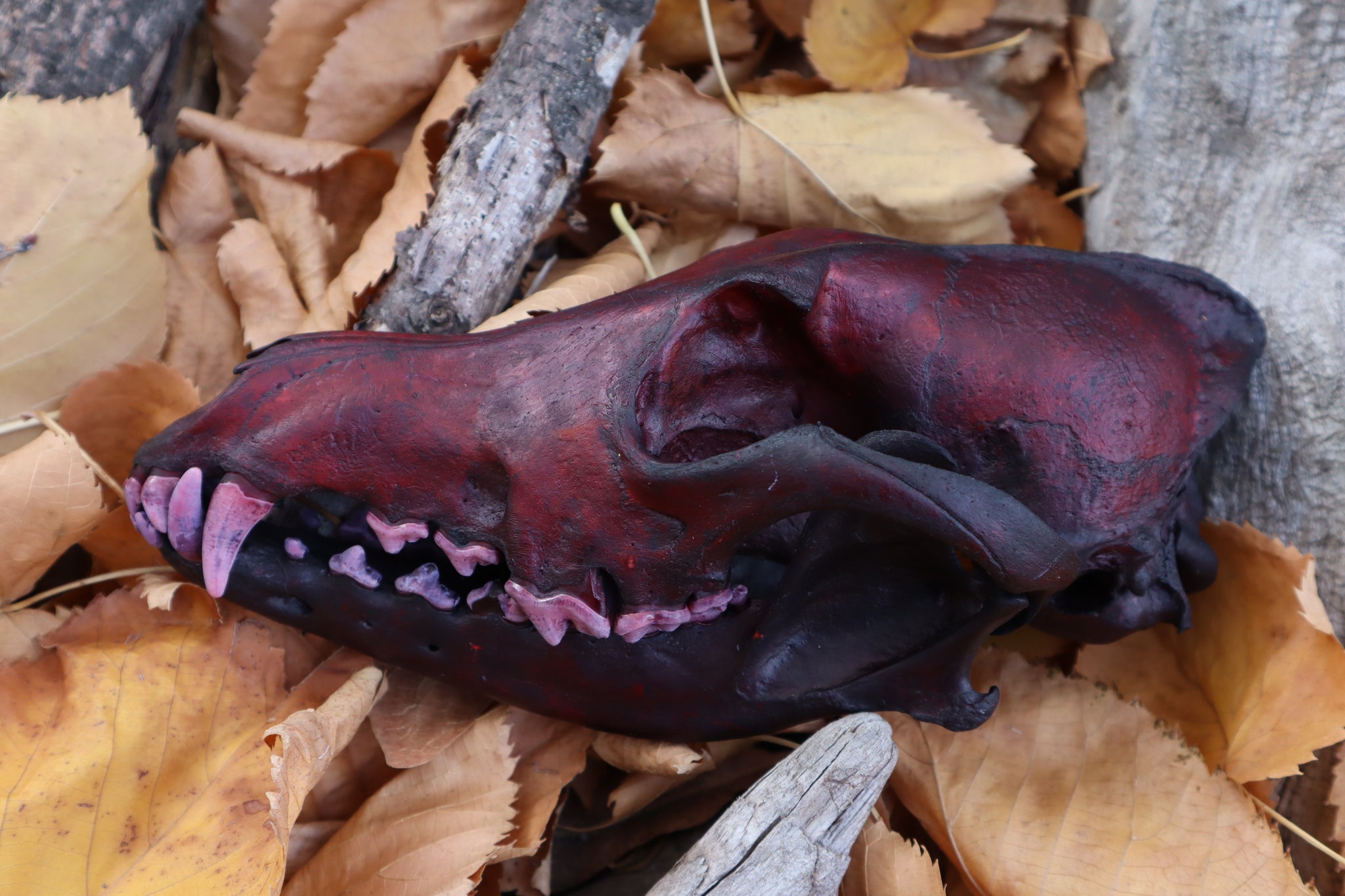 Crimson Coyote Skull
