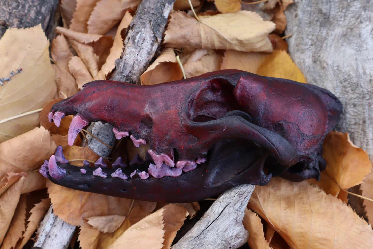 Crimson Coyote Skull