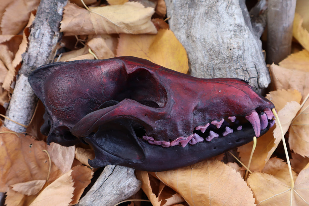 Crimson Coyote Skull