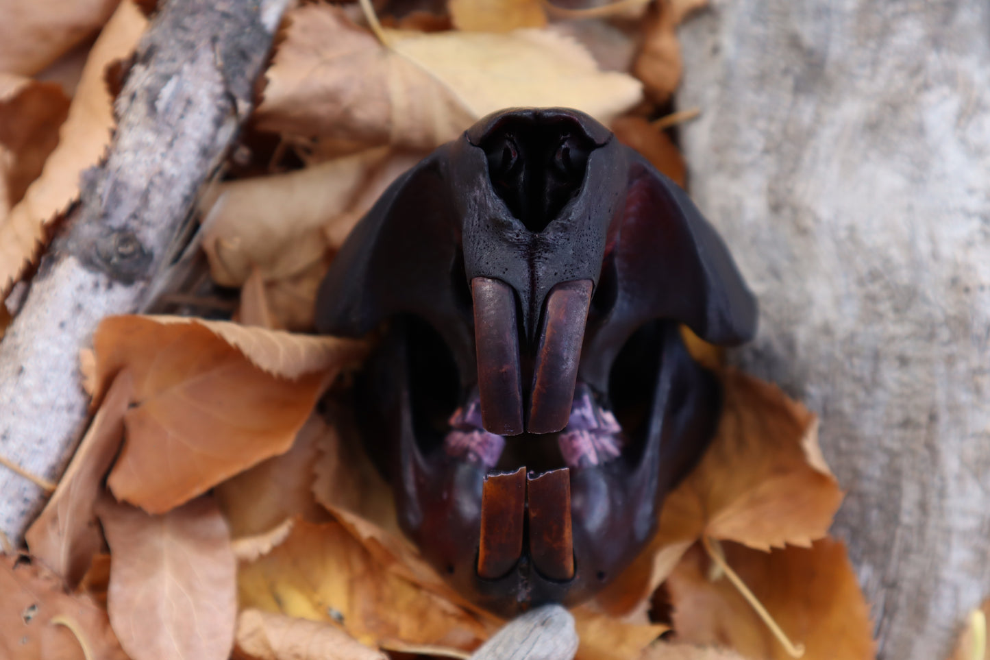 Abyssal Beaver Skull