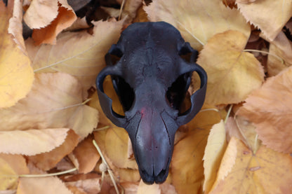 Abyssal Beaver Skull