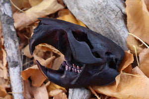 Abyssal Beaver Skull