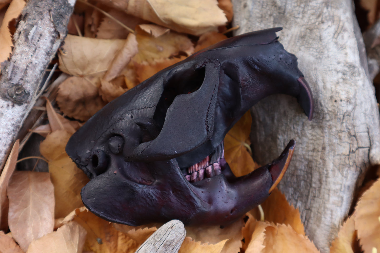 Abyssal Beaver Skull