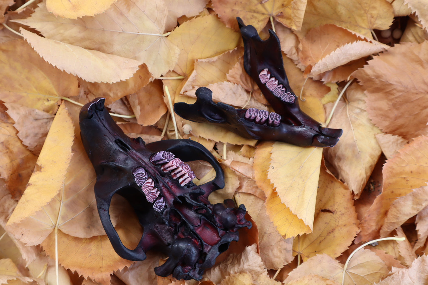 Abyssal Beaver Skull