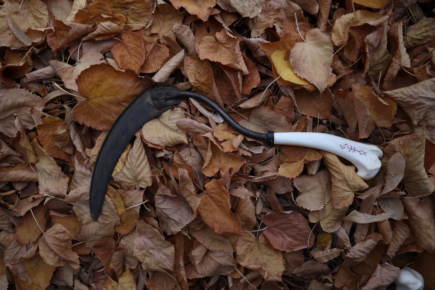 The Wolf of the Harvest Sickle