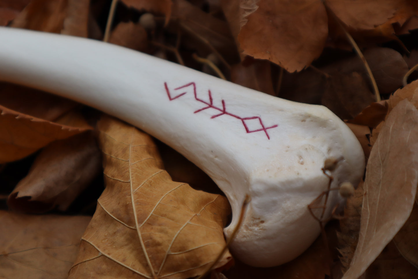 The Wolf of the Harvest Sickle