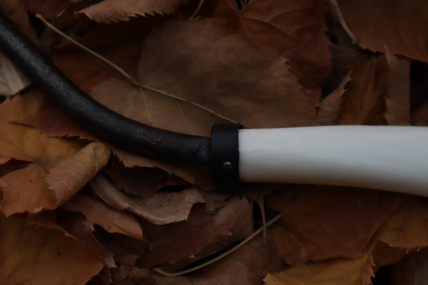 The Wolf of the Harvest Sickle