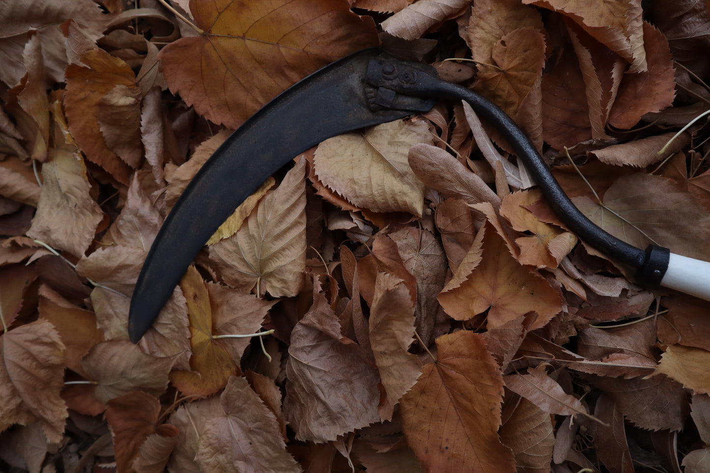 The Wolf of the Harvest Sickle