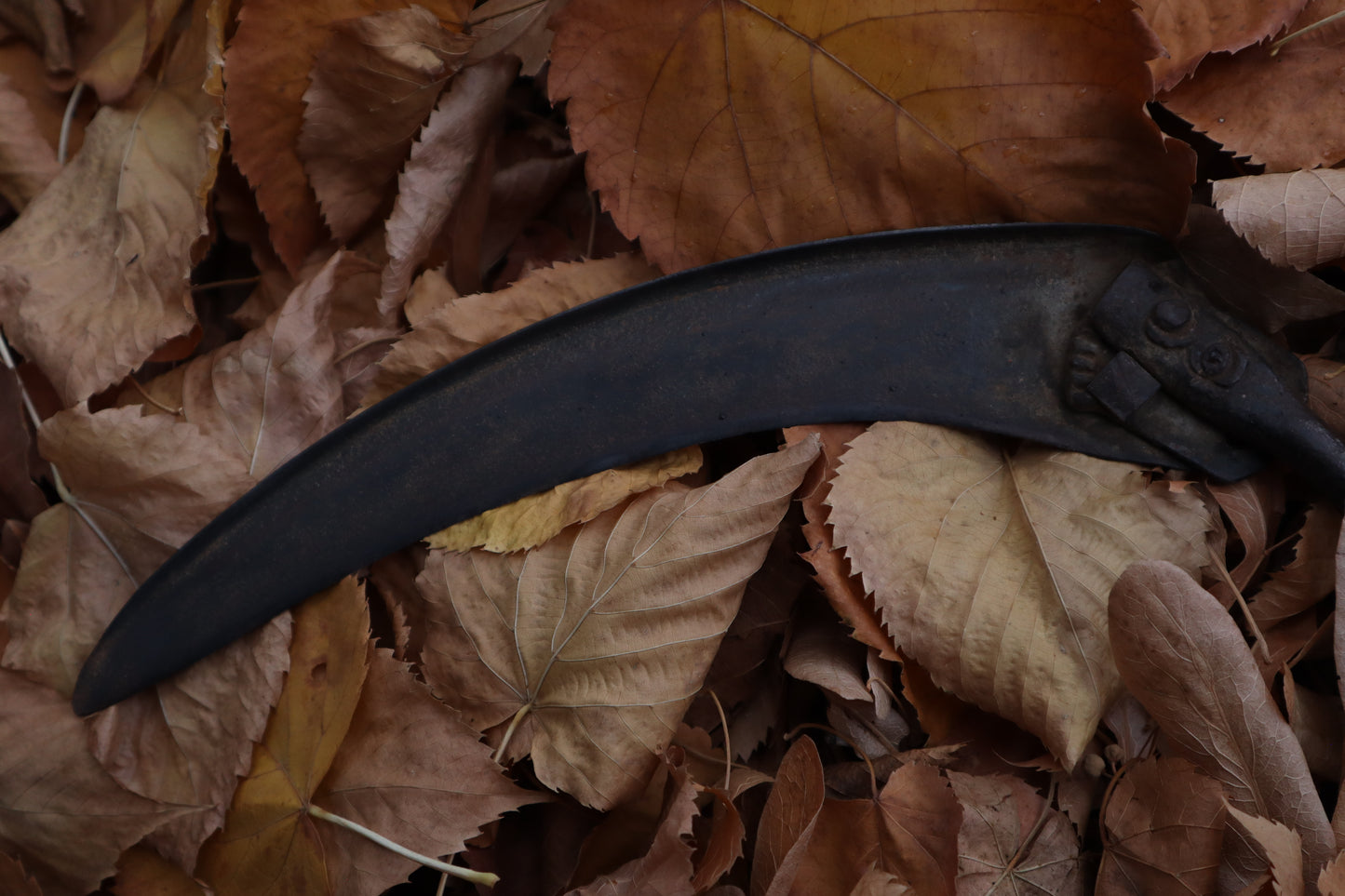 The Wolf of the Harvest Sickle