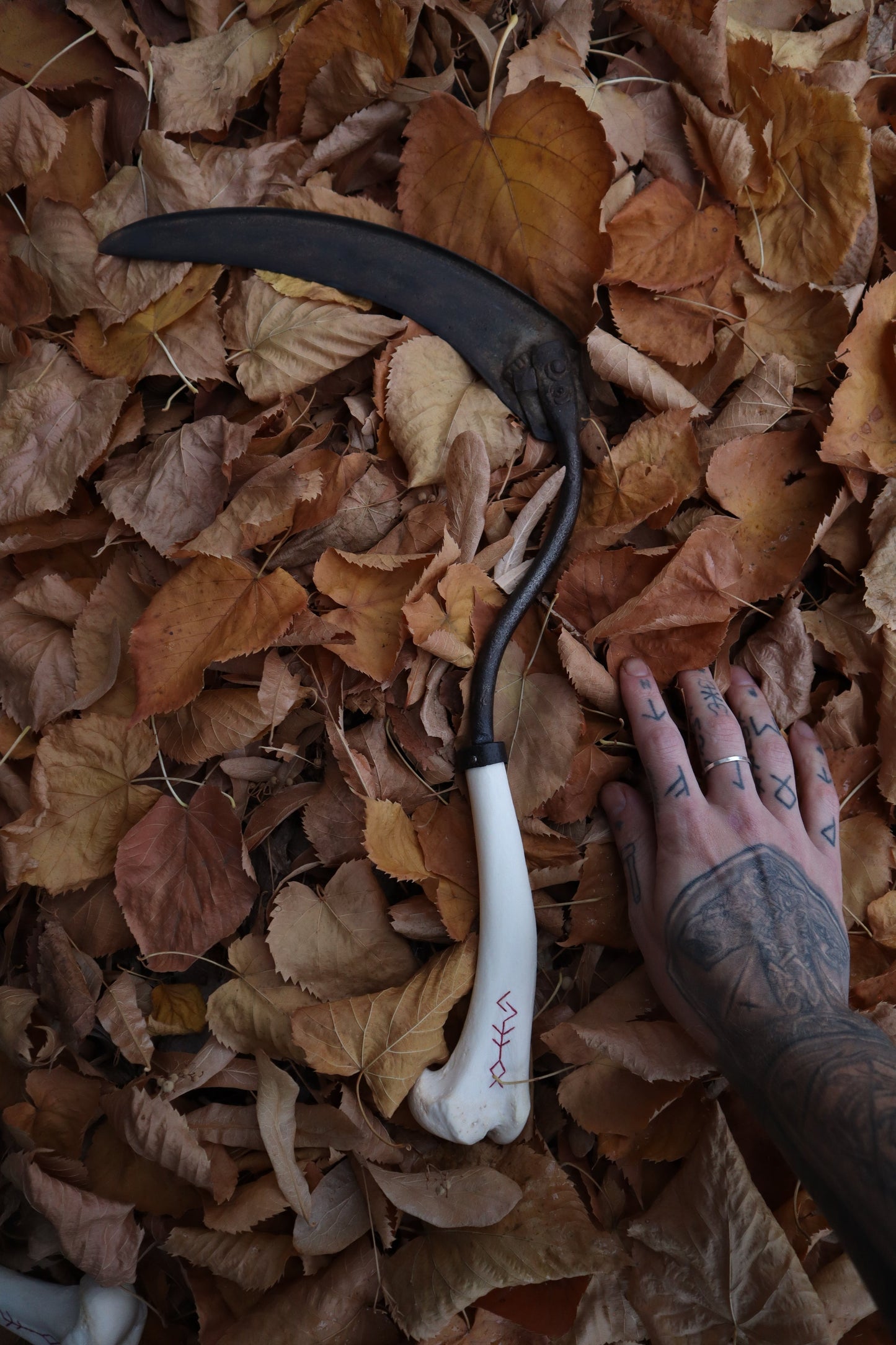 The Wolf of the Harvest Sickle