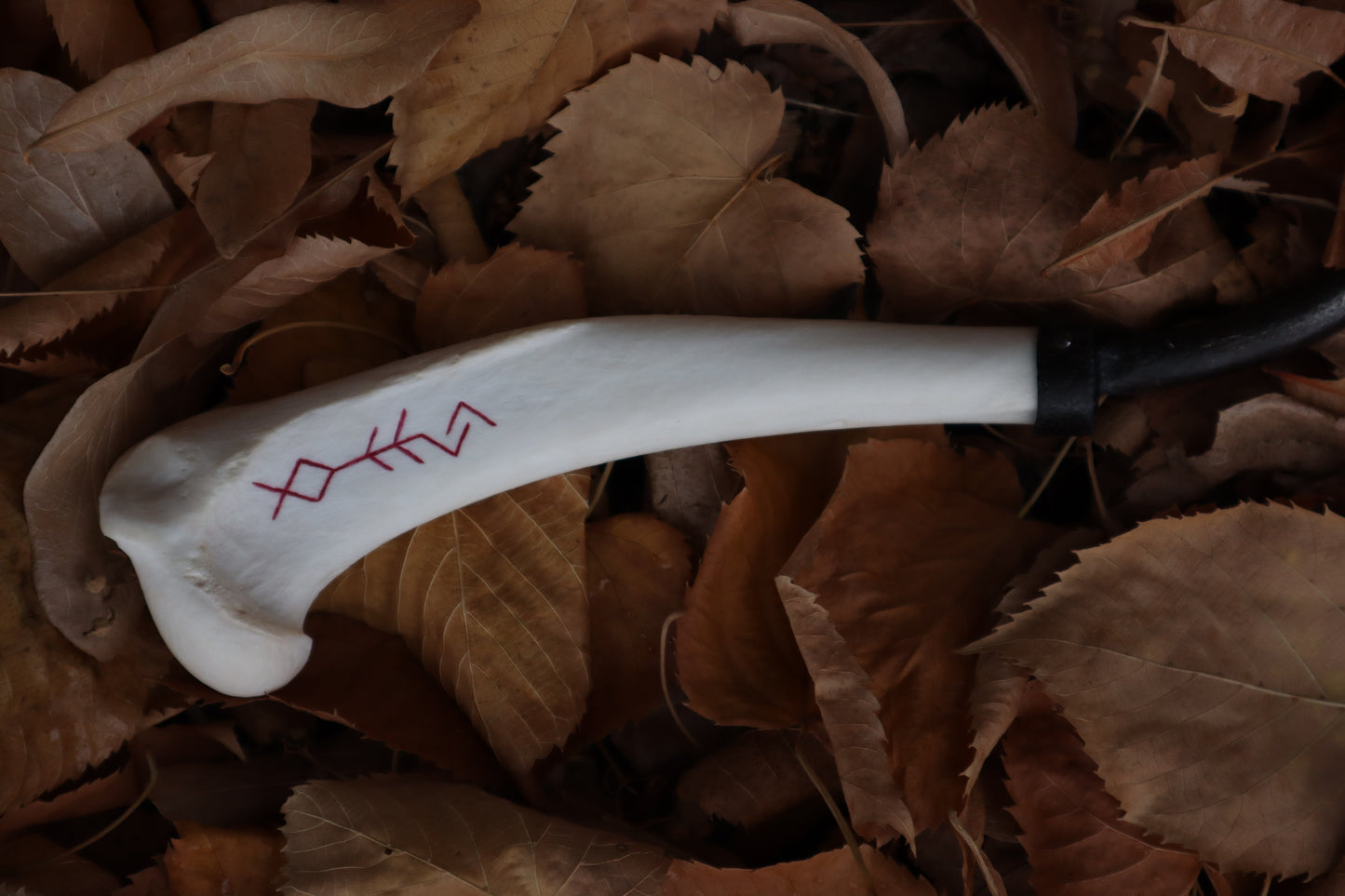 The Wolf of the Harvest Sickle