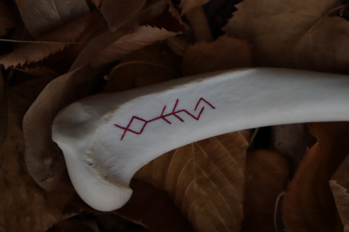 The Wolf of the Harvest Sickle